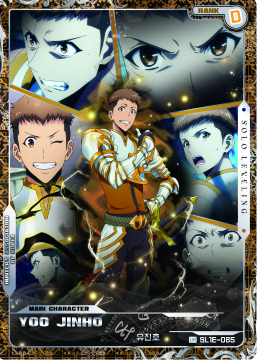 Solo Levelling Collect Card - Mapniverse